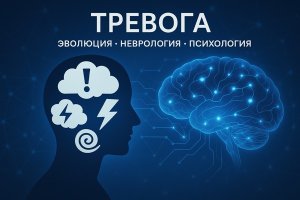 Тревога: эволюционные корни, неврологические механизмы и психологические аспекты