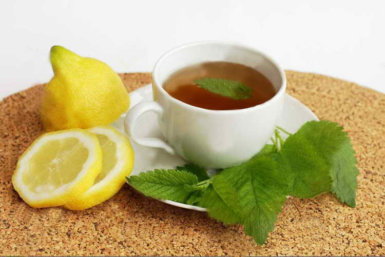 Чай из мелиссы при атопическом дерматите