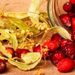 Treatment of herpes with folk remedies from the inside: Decoction of dried rose hips