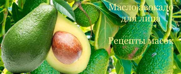 Масло авокадо для лица: применение, рецепты масок