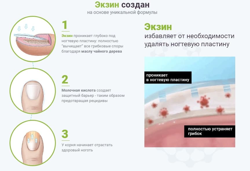Мазевый крем Экзин возвращает коже здоровый вид, обновляет поврежденные клетки дермы и быстро восстанавливает структуру поврежденного ногтя