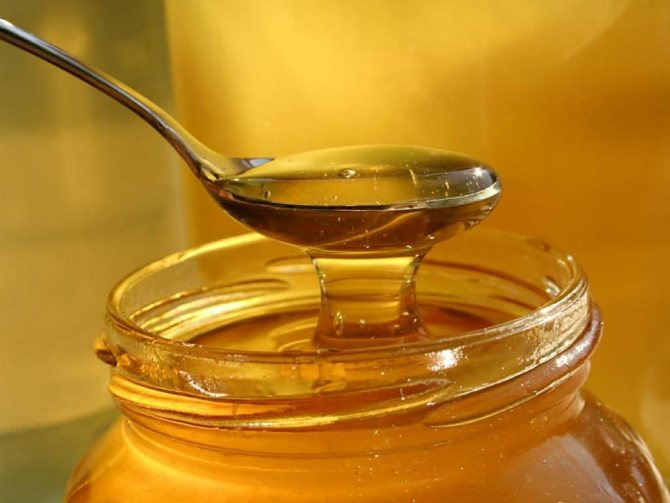 Мед с отваром лука от папиллом