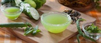 Cucumber face lotion - simple recipes at home